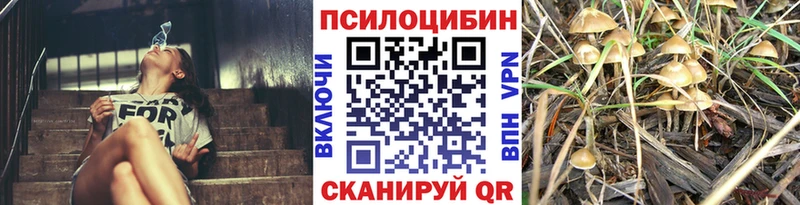 нарко площадка формула  Лениногорск  Галлюциногенные грибы мицелий 